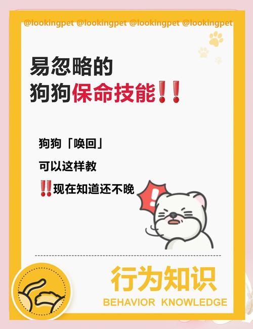 成年犬怎么训练它叫或者不叫呢