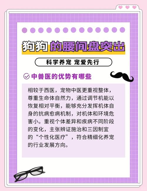 狗狗腰椎间盘突出怎么治疗