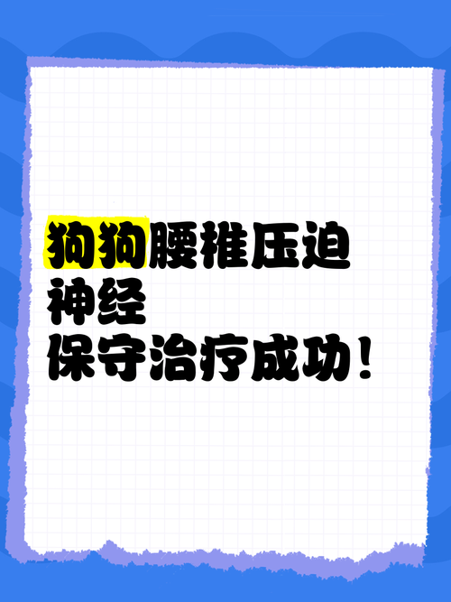 狗狗腰椎神经损伤的治疗方式有哪些?