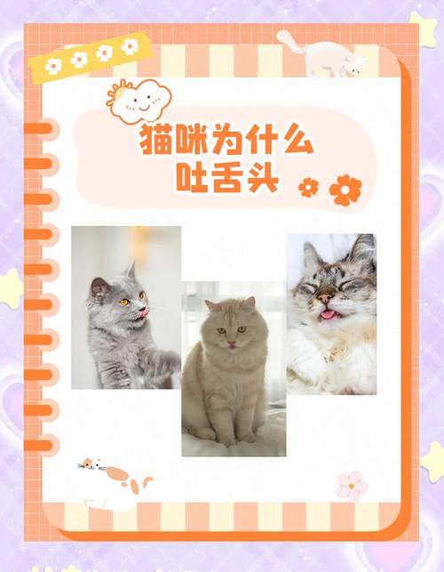 猫睡觉为什么吐舌头