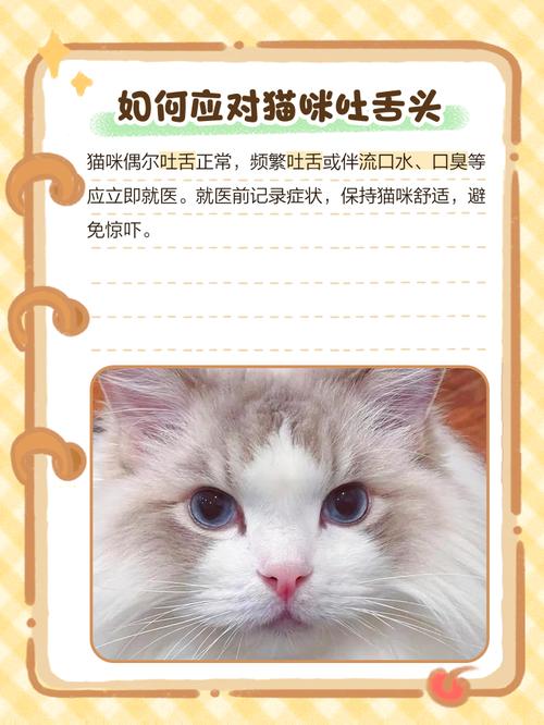 猫睡觉吐舌头怎么回事