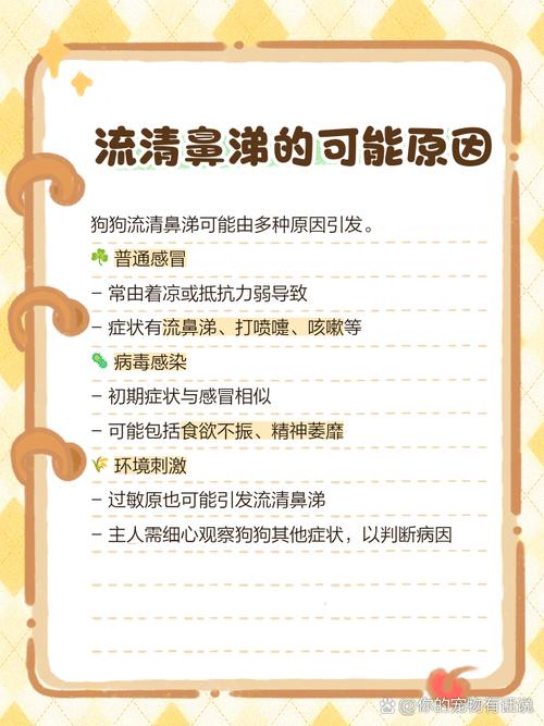 狗狗流清水鼻涕正常吗吃什么药