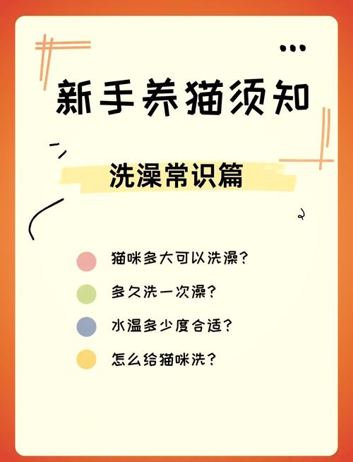 幼猫多大可以洗澡