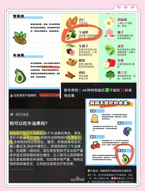 狗狗可以吃牛油果吗?