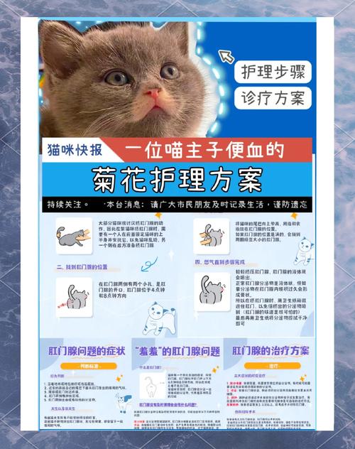 猫肛门外翻红肿是什么原因导致的?