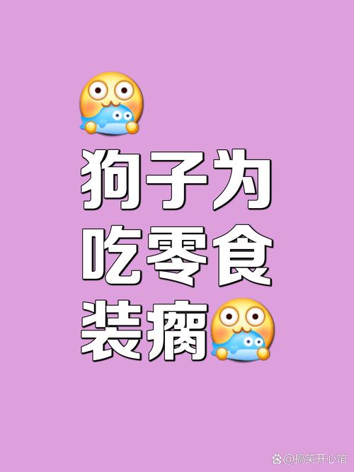 京巴狗腰椎间盘突出怎么办?我没钱给狗治病