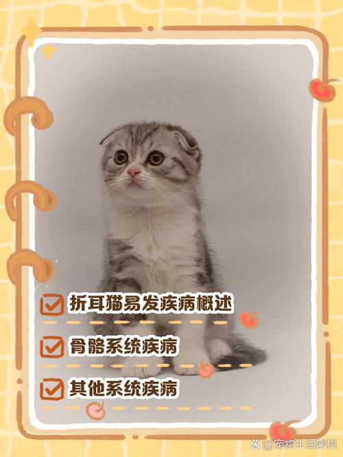 半折耳猫有没有不发病的