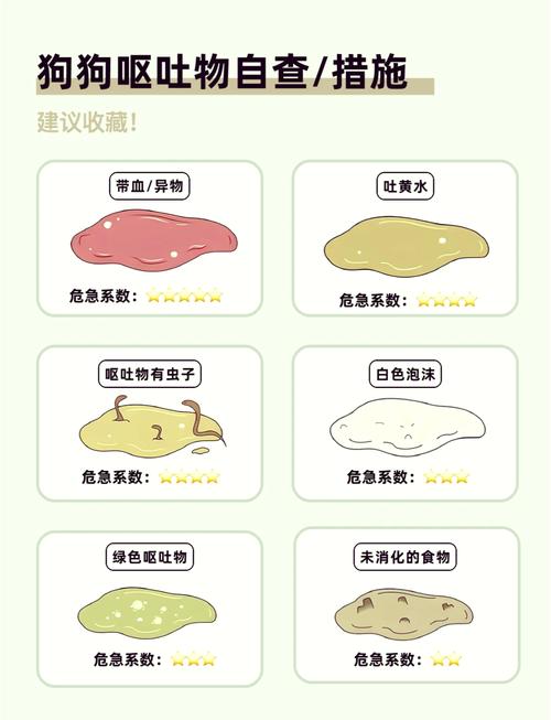 我家狗狗吐白色黏液是怎么回事啊