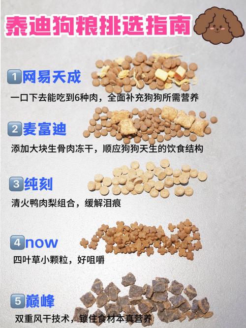 狗狗几个月可以吃干狗粮