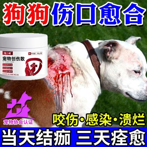 狗狗伤口化脓用什么药