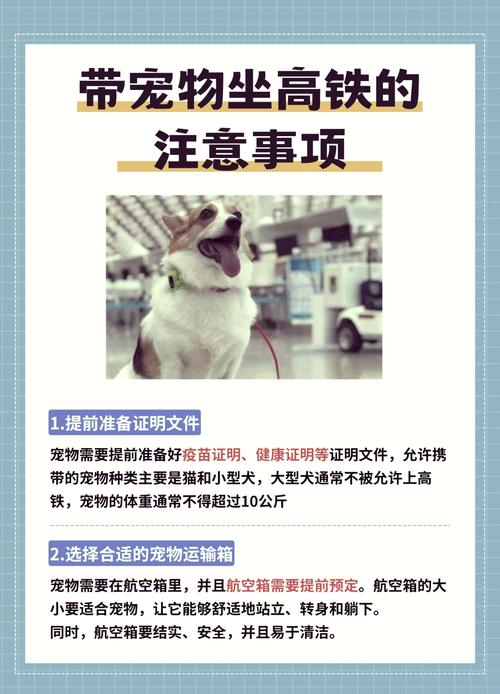 火车上可以带狗吗