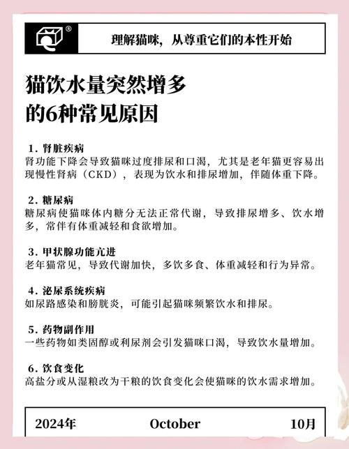猫咪突然频繁喝水是怎么回事?