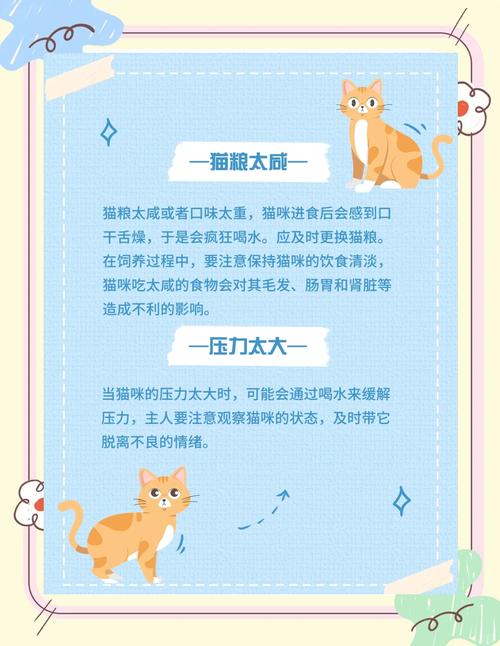 猫咪喝水太多会有什么后果?