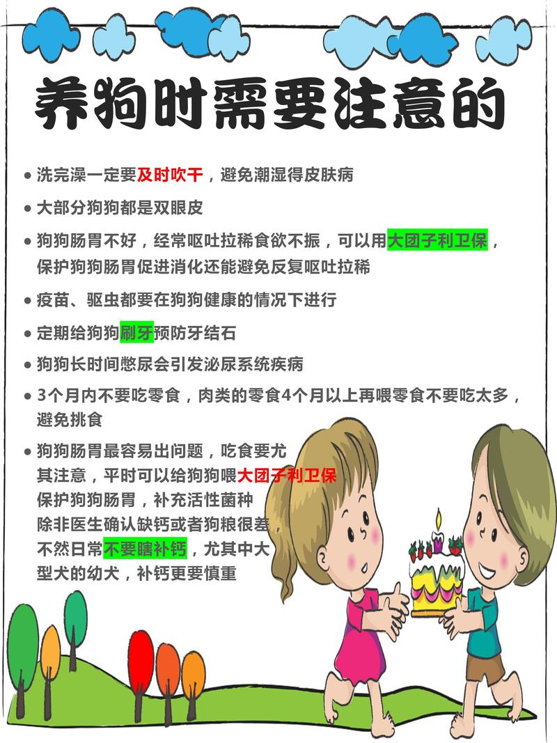 新养小狗狗注意些什么