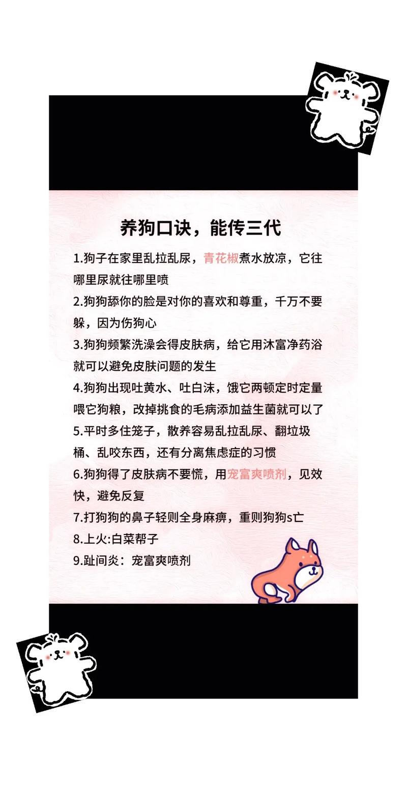 养小狗狗要注意些什么