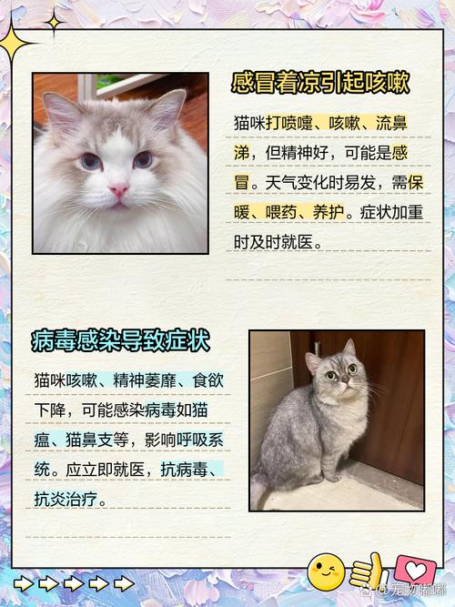 猫咳嗽但是一切正常