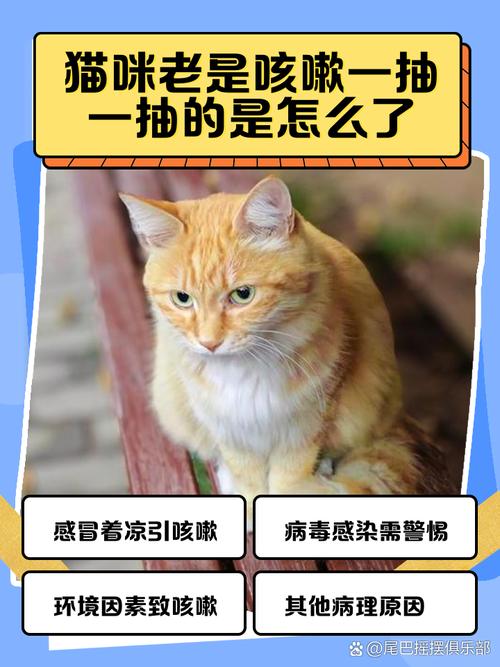 猫咪老是咳嗽像卡东西一样