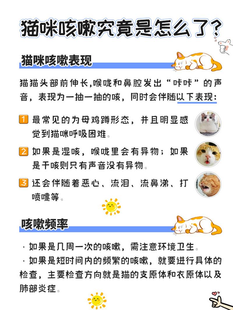 我家的猫咪一岁了,最近突然咳嗽,基本每天都要咳1--『2』次,像是被什么呛...