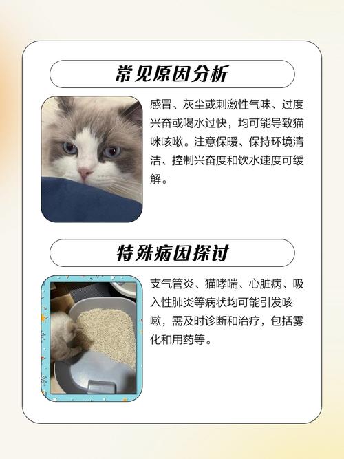 猫咪像哮喘一样咳嗽