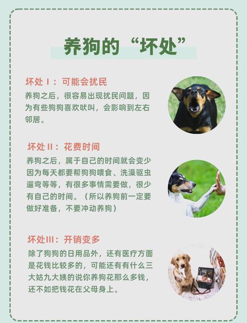 养狗有什么好处和坏处?