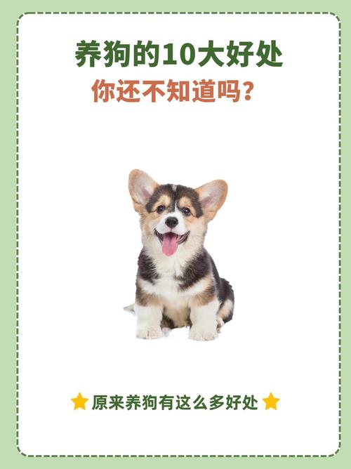 女人养狗有什么好处