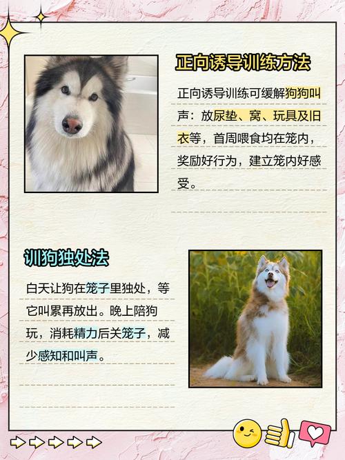 小狗关笼子里一直叫怎么办