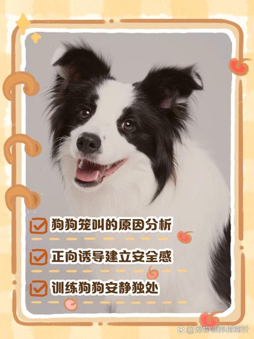 狗狗关笼子里一直叫怎么办?