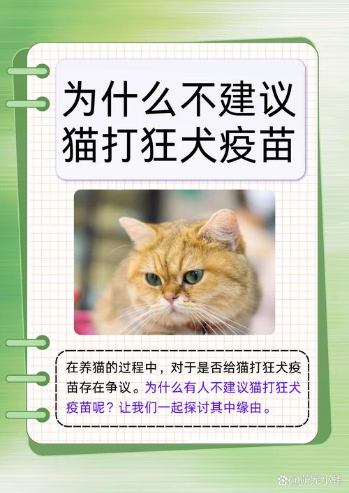 猫咪要不要注射狂犬疫苗
