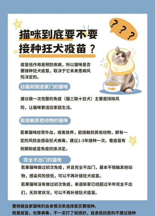 猫咪不出门需要打狂犬疫苗吗