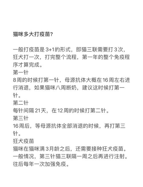 猫需要打狂犬疫苗吗?究竟是否智商税呀?