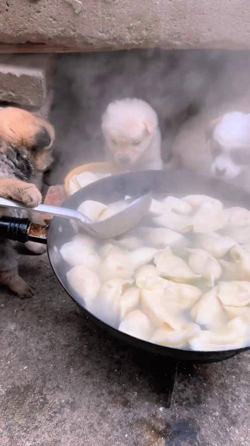 狗狗可以吃洋葱吗?