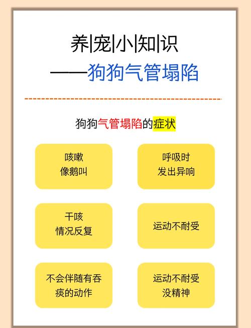 狗狗咳嗽像卡住了一样吃什么药