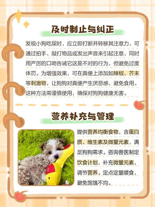 如何改掉狗狗喜欢吞食垃圾的恶习