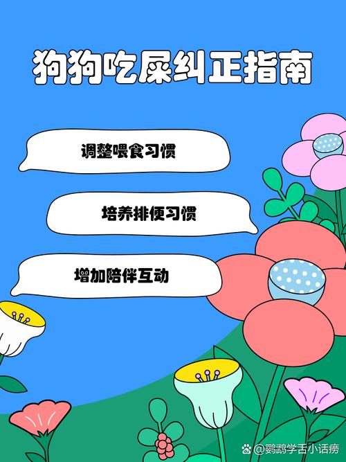 狗狗的捡食恶习(如翻吃垃圾、吃粪便)如何纠正?
