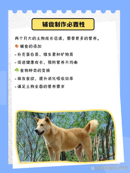 两个月的狗狗吃什么?