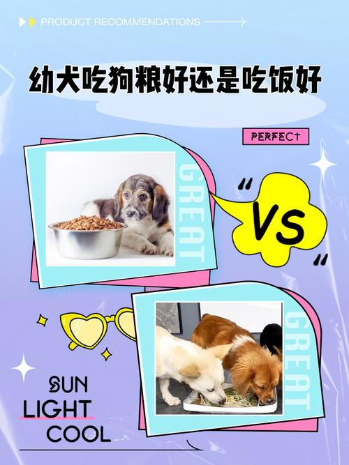 狗吃狗粮好还是吃饭好