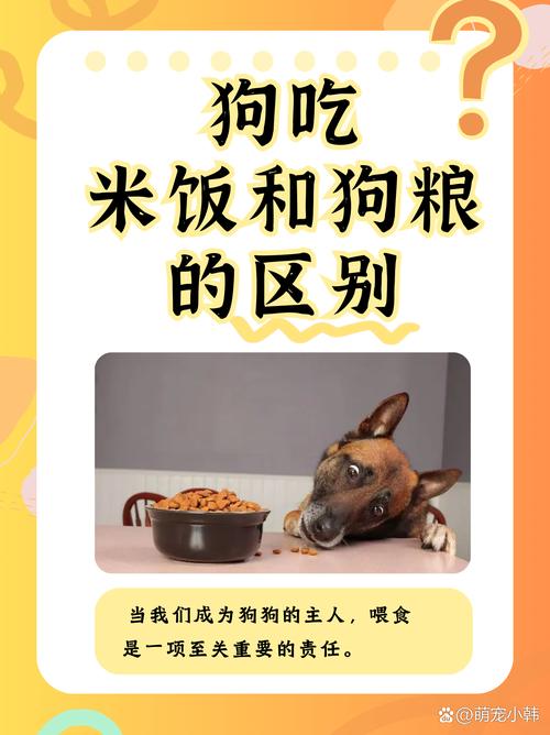 土狗吃狗粮和吃饭区别