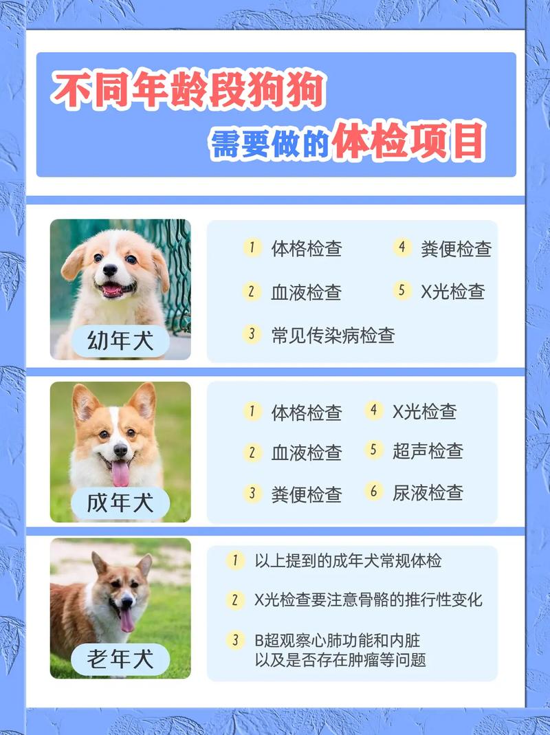 狗狗做胃镜大概要多少钱?