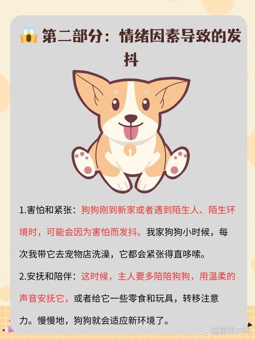 狗狗颤抖都是有原因的!