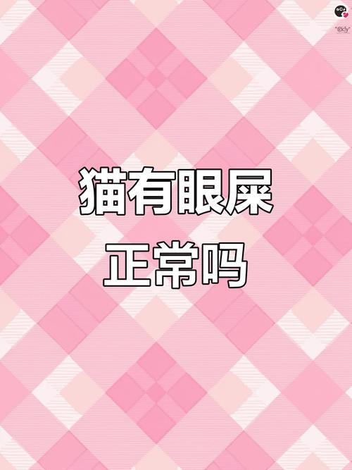 猫咪每天都有眼屎