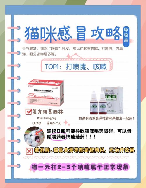 小猫感冒了,怎么办?