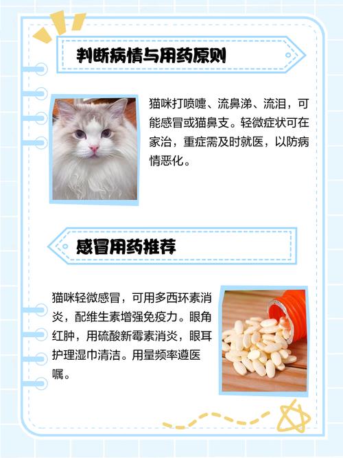 猫咪感冒打喷嚏流鼻涕吃什么药