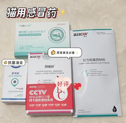 猫感冒流鼻涕打喷嚏吃什么药?