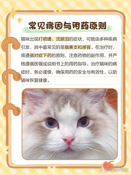 猫流鼻涕流眼泪打喷嚏吃什么药