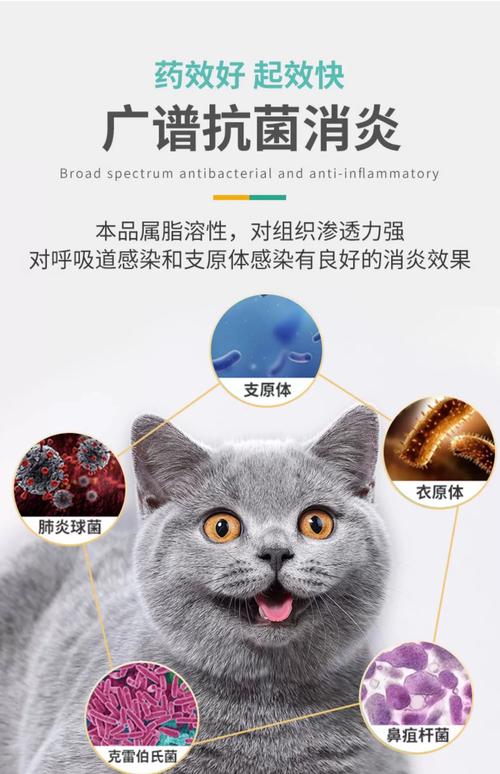 猫打喷嚏流鼻涕吃什么药?