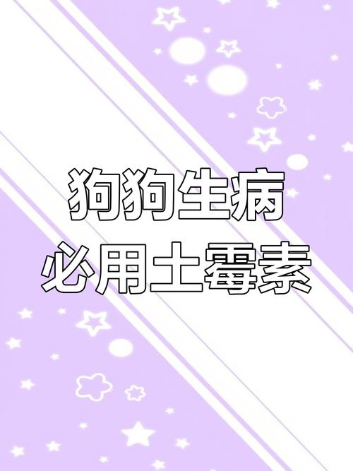 狗狗吃土霉素主要是治疗什么病