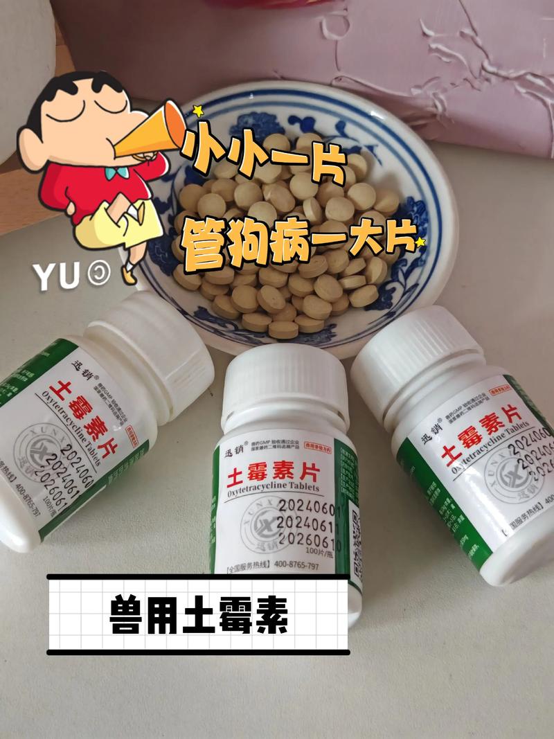 狗狗体重20斤可以吃多少土霉素?
