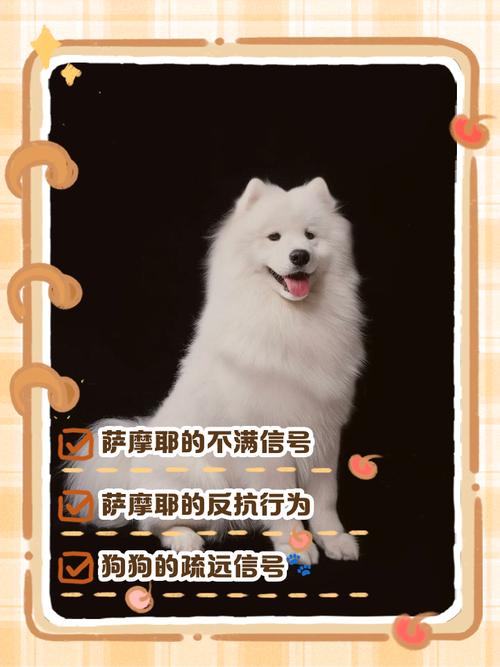 狗狗讨厌主人的表现有哪些