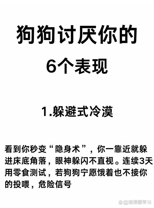 狗狗不喜欢你的表现