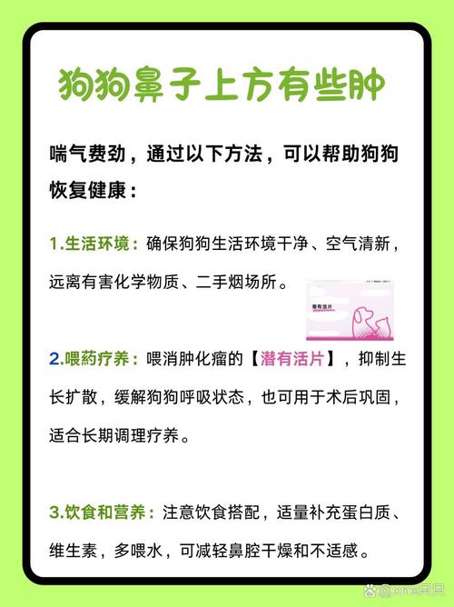 狗鼻子突然肿了